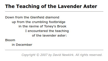Image of the poem The Teaching of the Lavender Aster